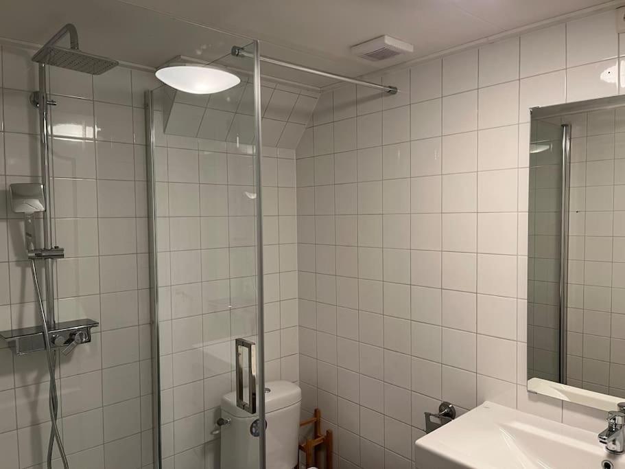 Appartement Centrum Leeuwarden Eksteriør billede